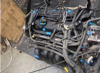 1203074, 1S4G6006NC Двигатель (ДВС) Ford Focus 1 1998-2004 20143731 #14
