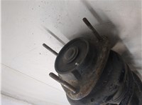 20310SA120 Амортизатор подвески Subaru Forester (S11) 2002-2007 20144859 #6