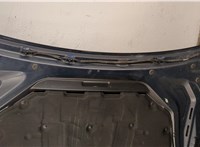  Капот BMW 5 F10 2010-2016 20151352 #8