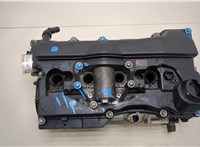 11127581141 Головка блока (ГБЦ) BMW 3 E46 1998-2005 20155821 #1