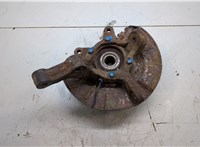 4340257L51, 4511165J00, 5522165J01 Ступица (кулак, цапфа) Suzuki Grand Vitara 2005-2015 20158879 #5