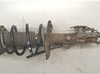 521590F911, 481310F160 Амортизатор подвески Toyota Verso 2009-2018 20159605 #5