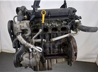  Двигатель (ДВС) Chevrolet Aveo (T250 / 255) 2008-2011 20160012 #2