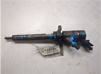 0445110239 Форсунка топливная Peugeot 307 20166157 #5