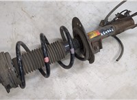 E4303JG01A, 54010JG20D Амортизатор подвески Nissan X-Trail (T31) 2007-2015 20173025 #6