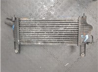 14461EB360 Радиатор интеркулера Nissan Navara 2005-2015 20177959 #6