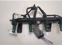 1984G0, 198542 Форсунка топливная Peugeot 207 20181533 #1
