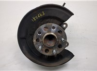 4245002270, 42305F4031 Ступица (кулак, цапфа) Toyota C-HR 20182725 #1