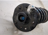 13566286 Амортизатор подвески Chevrolet Captiva 2011-2016 20182933 #8