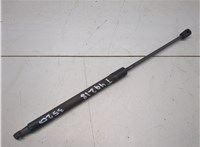 3C9827550A Амортизатор крышки багажника Volkswagen Passat 6 2005-2010 20187352 #3