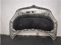 5J0823031A Капот Skoda Fabia 2007-2010 20189771 #9