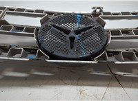A1648880141 Решетка радиатора Mercedes ML W164 2005-2011 20192248 #9