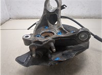 5Q0407254A, 5Q0407621D Ступица (кулак, цапфа) Volkswagen Arteon 2017-2020 20193103 #6
