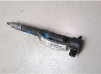 25183186 Форсунка топливная Chevrolet Captiva 2011-2016 20201430 #5