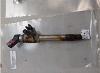 6H4Q9K546DB Форсунка топливная Land Rover Range Rover 3 (LM) 2002-2012 20201862 #1