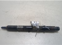  Форсунка топливная Audi A4 (B5) 1994-2000 20203075 #1