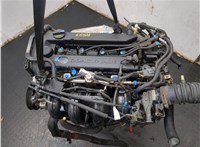 L81313640E Заслонка дроссельная Mazda 6 (GG) 2002-2008 11305175 #10