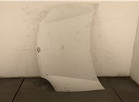  Капот Renault Kangoo 1998-2008 20204109 #1