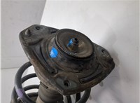 50711124 Амортизатор подвески Fiat Multipla 20204765 #6
