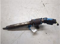 6H4Q9K546DB Форсунка топливная Land Rover Range Rover 3 (LM) 2002-2012 20205525 #8