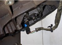 1786613, BK3Q6011DA Блок цилиндров (Шорт блок) Ford Transit 2014- 20207795 #11
