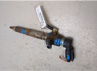 166009445R, 8200294788 Форсунка топливная Renault Scenic 2009-2012 20210048 #1