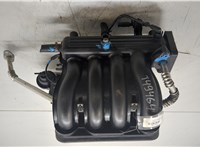 25185955, 25189192, 96416312 Коллектор впускной Chevrolet Aveo (T250 / 255) 2006-2012 20210542 #4