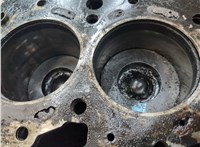 1596577, 9C1Q6011AA Блок цилиндров (Шорт блок) Ford Transit 2006-2014 20213781 #9