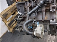 1596577, 9C1Q6011AA Блок цилиндров (Шорт блок) Ford Transit 2006-2014 20213781 #12