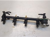  Форсунка топливная Renault Megane 1996-2002 20214535 #1