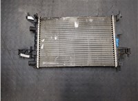 24445161 Радиатор охлаждения двигателя Opel Corsa C 2000-2006 20215311 #7