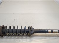 290692, 814901001205 Амортизатор подвески Ford Fiesta 1995-2000 20215844 #1