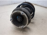 31311096849, 1096849 Амортизатор подвески BMW 3 E46 1998-2005 20215899 #6