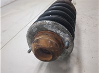 3B0413031AC Амортизатор подвески Volkswagen Passat 5 2000-2005 20216066 #5