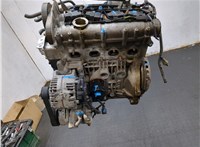 036100038L Двигатель (ДВС) Seat Ibiza 4 2008-2012 20216103 #8