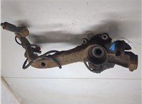 Ступица (кулак, цапфа) Volkswagen Passat 5 1996-2000 20216699 #5