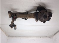  Ступица (кулак, цапфа) Volkswagen Passat 5 1996-2000 20216699 #7