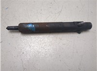  Форсунка топливная Ford Transit (Tourneo) Connect 2002-2013 20217109 #1