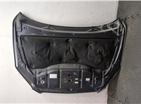 5330142070 Капот Toyota RAV 4 2006-2013 20221694 #18