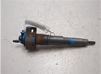 13537808089 Форсунка топливная BMW X5 E70 2007-2013 20222031 #2