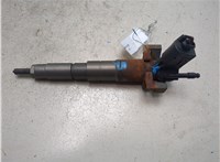 13537808089 Форсунка топливная BMW X5 E70 2007-2013 20222031 #3