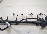  Рампа (рейка) топливная Mercedes Sprinter 1996-2006 20222934 #1