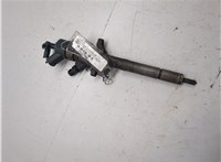 0445110259 Форсунка топливная Volvo C30 2006-2013 20223060 #9