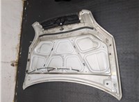 664002E020 Капот Hyundai Tucson 1 2004-2009 20223576 #15