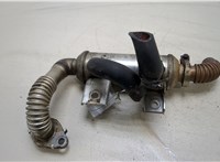  Охладитель отработанных газов Ford S-Max 2006-2010 20224381 #1