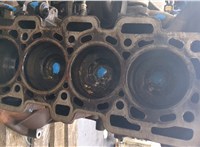 110109529R Блок цилиндров (Шорт блок) Renault Megane 3 2009-2016 20225468 #8