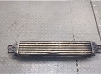  Радиатор интеркулера Chevrolet Captiva 2006-2011 20226133 #3