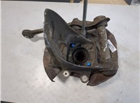 33411095417, 1095417, 33321095239, 1095239 Ступица (кулак, цапфа) BMW X5 E53 2000-2006 20227029 #4
