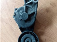  Натяжитель приводного ремня Ford Galaxy 2000-2006 20230654 #2