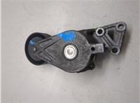  Натяжитель приводного ремня Ford Galaxy 2000-2006 20230654 #2